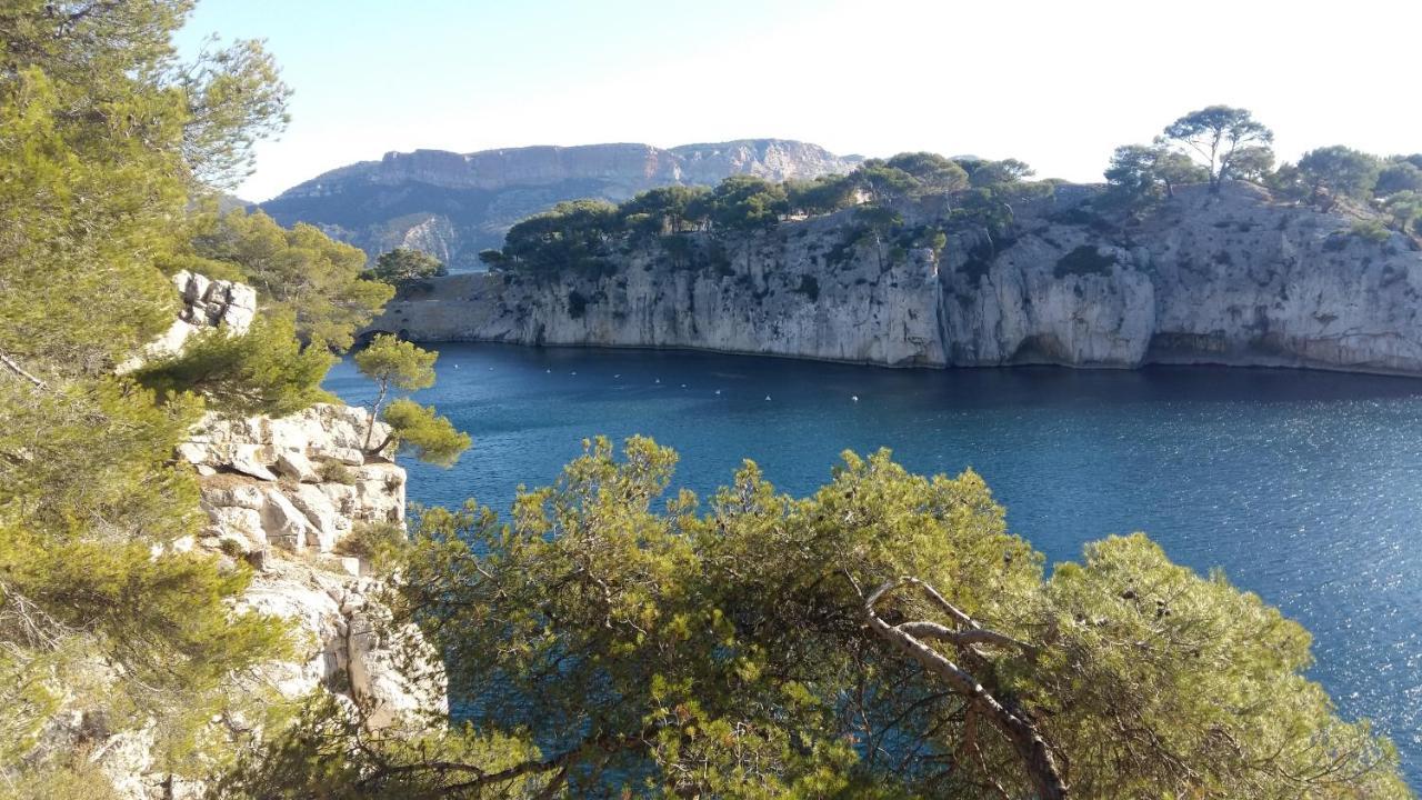 Bobnell * Cassis
